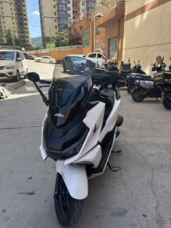 Sundiro Honda NS150GX - photo 5