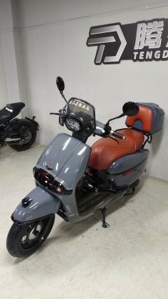Weiduoliya Sixties 150i - ფოტო 4