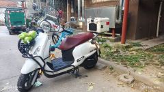 SYM Fiddle 125 cc - ფოტო 3