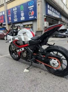 QJMOTOR SRK 250 - ფოტო 5