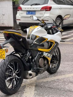 QJMOTOR SRK 250 - ფოტო 5