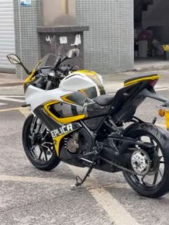 QJMOTOR SRK 250 - ფოტო 7