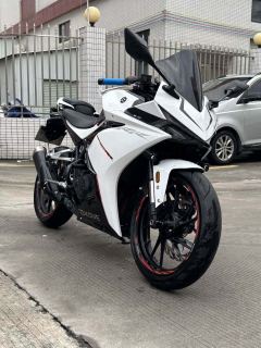Kayo 250RR Thornbird - photo 1