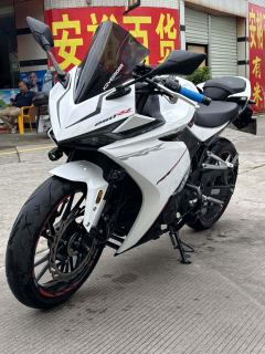 Kayo 250RR Thornbird - photo 2