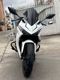 Kayo 250RR Thornbird - photo 3
