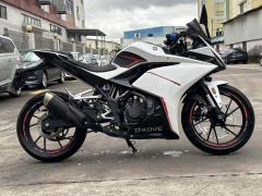 Kayo 250RR Thornbird - photo 4