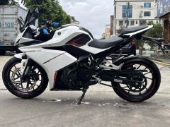 Kayo 250RR Thornbird - photo 5