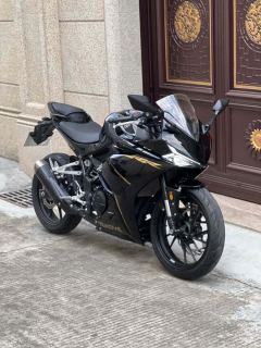 Kayo 250RR Thornbird - photo 1