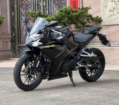 Kayo 250RR Thornbird - photo 10
