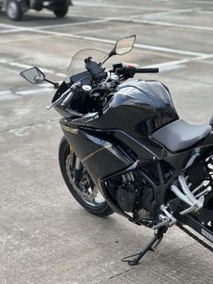 Kayo 250RR Thornbird - photo 11