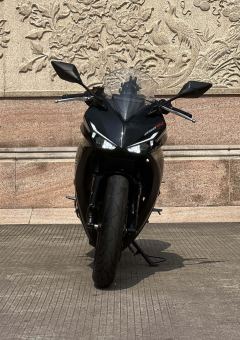Kayo 250RR Thornbird - photo 3