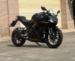 Kayo 250RR Thornbird - photo 4