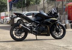 Kayo 250RR Thornbird - photo 6