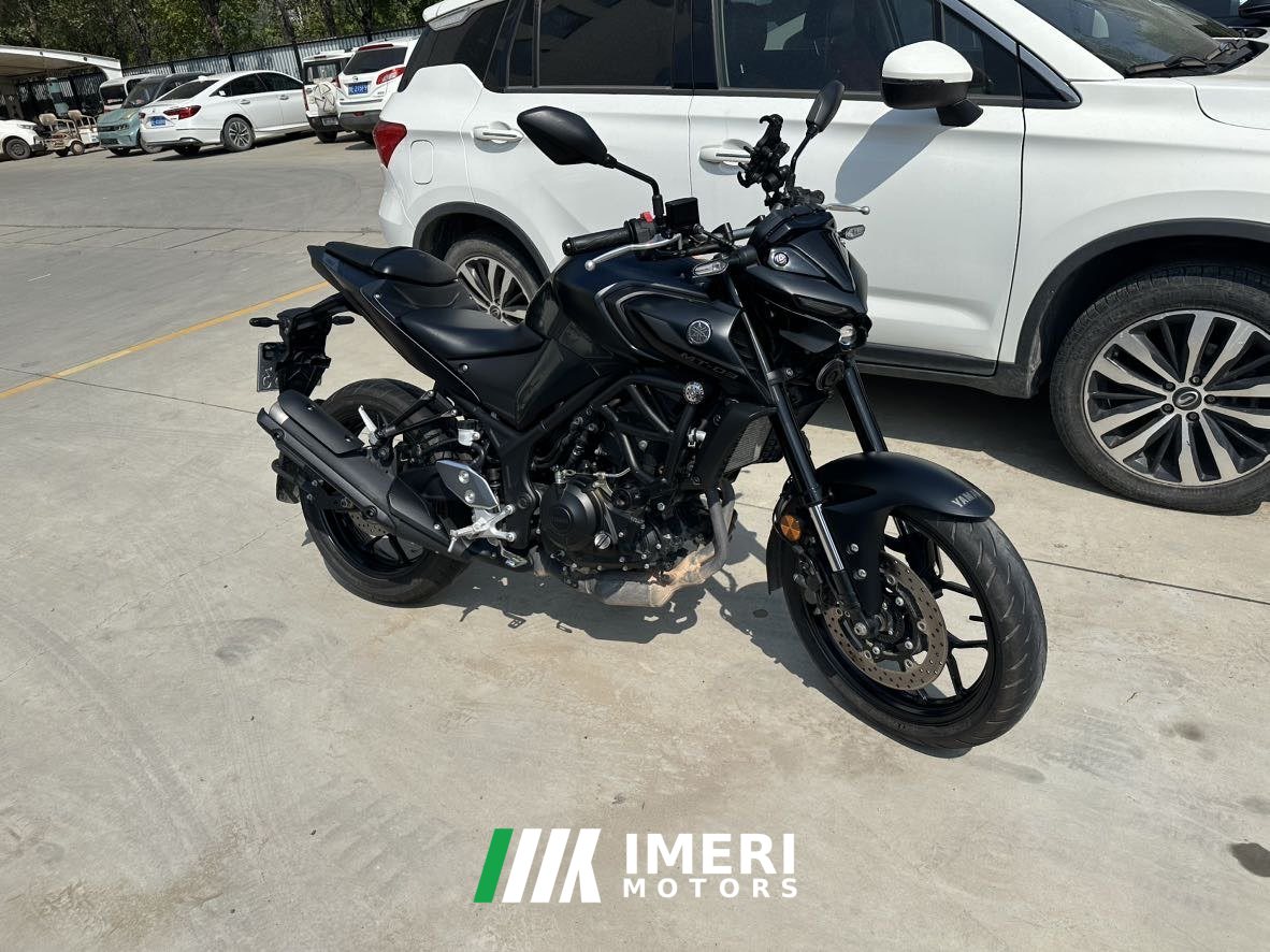 2024 Yamaha MT-03 320 cc