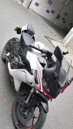 QJMOTOR SRK 250 - ფოტო 2