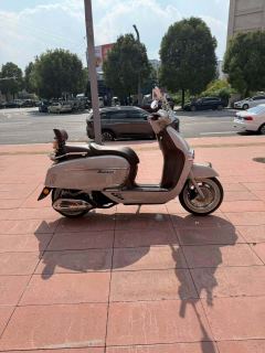 Weiduoliya Sixties 150Si - ფოტო 4