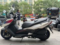 Ariic 318 300 cc - ფოტო 4