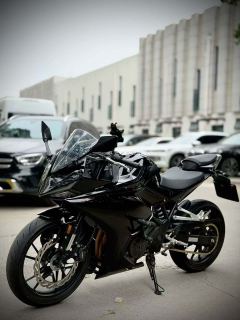 Kayo 250RR Thornbird - ფოტო 2