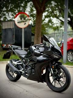 Kayo 250RR Thornbird - ფოტო 4