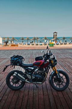 Triumph Scrambler 400 X - ფოტო 3