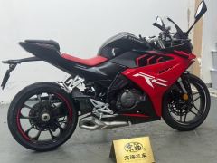 Cyclone RC250 - ფოტო 9