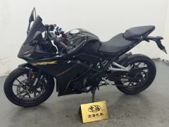 Kayo 250RR Thornbird - фото 2