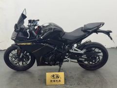 Kayo 250RR Thornbird - фото 3