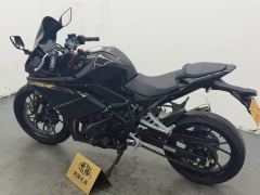 Kayo 250RR Thornbird - фото 4
