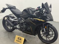 Kayo 250RR Thornbird - фото 6