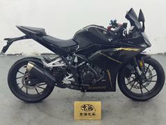 Kayo 250RR Thornbird - фото 7