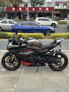 CFMOTO 450SR - ფოტო 4