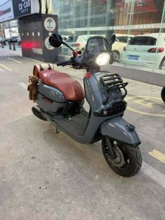 Weiduoliya Sixties 150Si - ფოტო 1