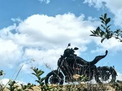 Benelli 502C 500 cc - ფოტო 3