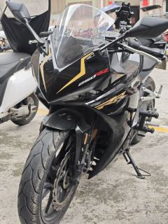 Kayo 250RR Thornbird - photo 1
