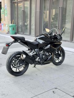 Kayo 250RR Thornbird - ფოტო 2