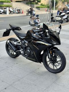Kayo 250RR Thornbird - ფოტო 3