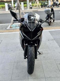 Kayo 250RR Thornbird - ფოტო 4