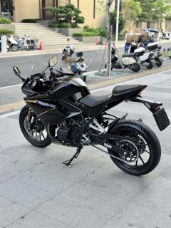 Kayo 250RR Thornbird - ფოტო 6