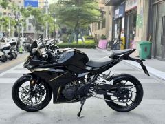 Kayo 250RR Thornbird - ფოტო 7