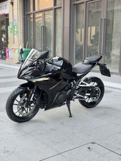 Kayo 250RR Thornbird - ფოტო 8