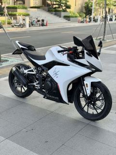 Kayo 250RR Thornbird - ფოტო 3