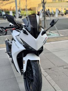 Kayo 250RR Thornbird - ფოტო 4