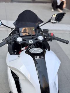 Kayo 250RR Thornbird - ფოტო 5