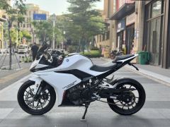 Kayo 250RR Thornbird - ფოტო 8