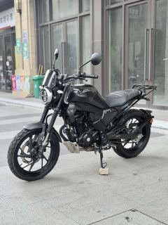 Sundiro Honda CBF190TR - ფოტო 10