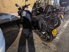 Benelli Young Lion Leoncino 250 - фото 1