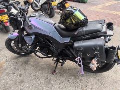 Benelli Young Lion Leoncino 250 - фото 2