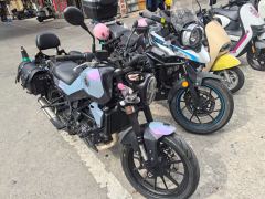 Benelli Young Lion Leoncino 250 - фото 3