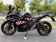 Haojue Suzuki GSX250R - фото 4