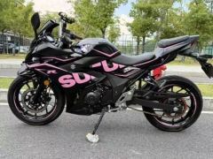 Haojue Suzuki GSX250R - фото 5